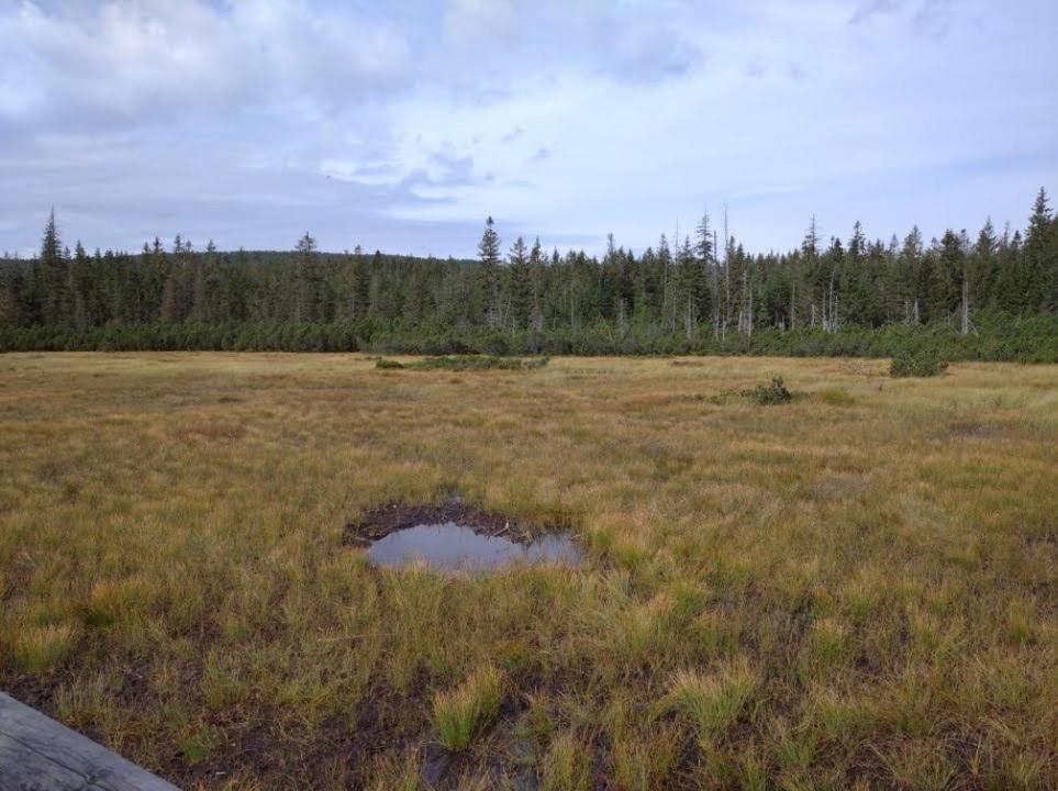 Apartman Smrcek Nove Mesto pod Smrkem Buitenkant foto
