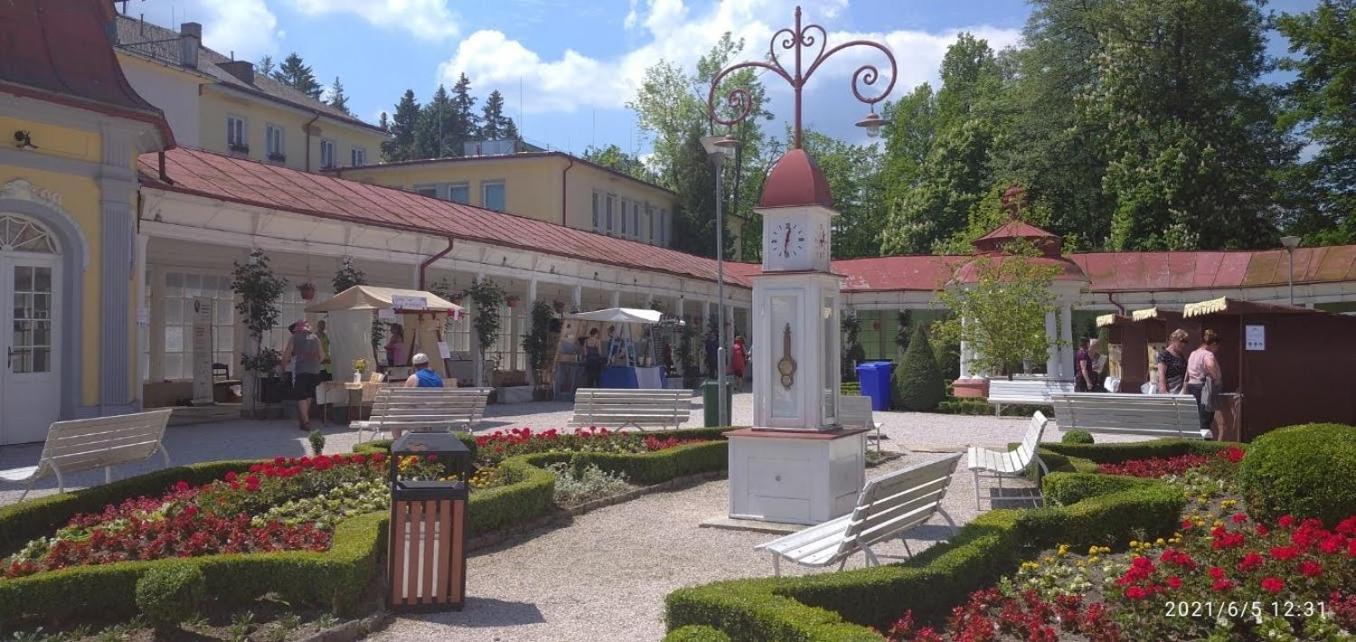 Apartman Smrcek Nove Mesto pod Smrkem Buitenkant foto